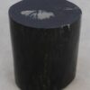 Beistelltisch versteinertes Holz 49019