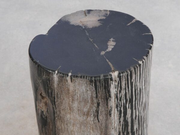 Beistelltisch versteinertes Holz 49039