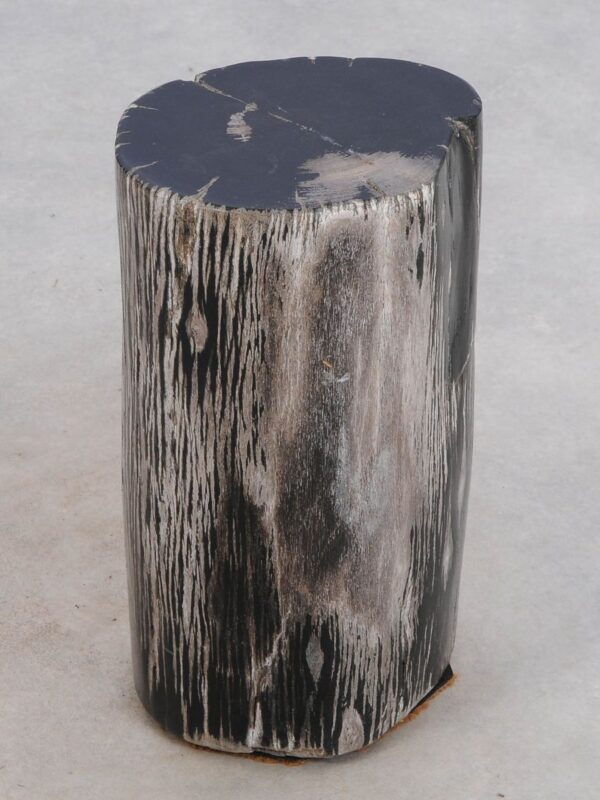 Beistelltisch versteinertes Holz 49039