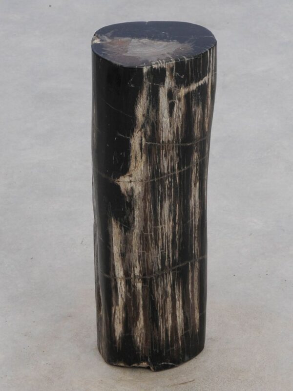 Beistelltisch versteinertes Holz 49044