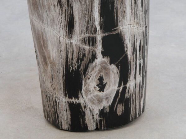 Beistelltisch versteinertes Holz 49048