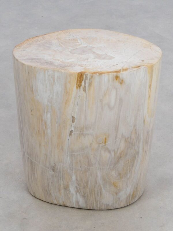 Beistelltisch versteinertes Holz 49053