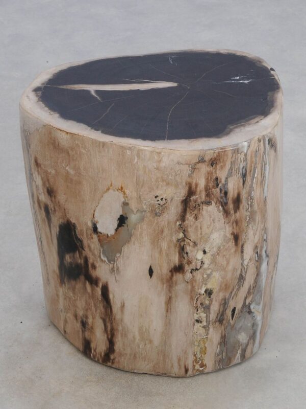 Beistelltisch versteinertes Holz 49057