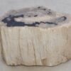 Beistelltisch versteinertes Holz 49103