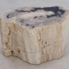 Beistelltisch versteinertes Holz 49103