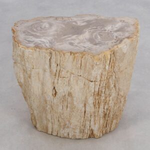 Beistelltisch versteinertes Holz 49104