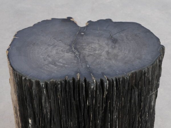 Beistelltisch versteinertes Holz 49107