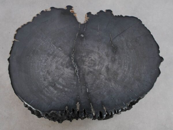 Beistelltisch versteinertes Holz 49107