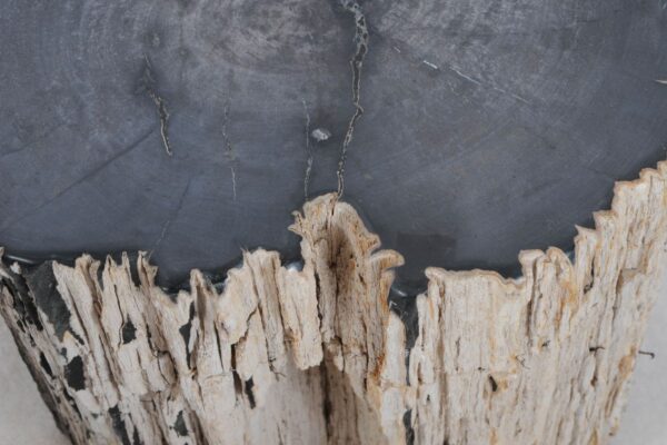 Beistelltisch versteinertes Holz 49107
