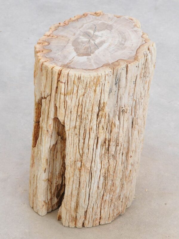 Beistelltisch versteinertes Holz 49112