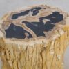 Beistelltisch versteinertes Holz 49116