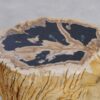 Beistelltisch versteinertes Holz 49116