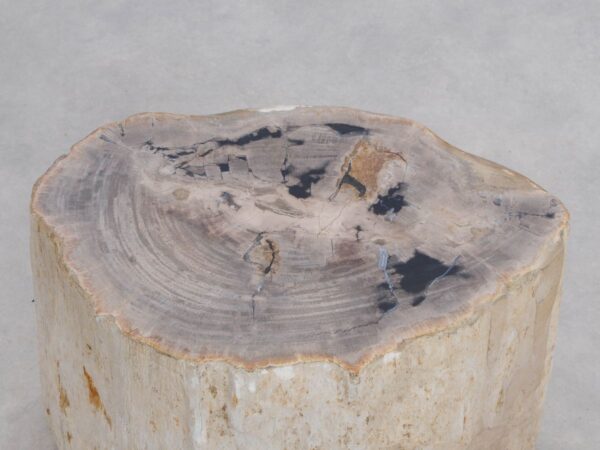 Beistelltisch versteinertes Holz 49364