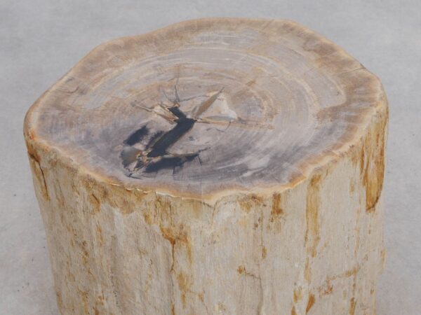 Beistelltisch versteinertes Holz 49365