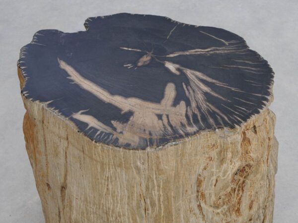 Beistelltisch versteinertes Holz 49371