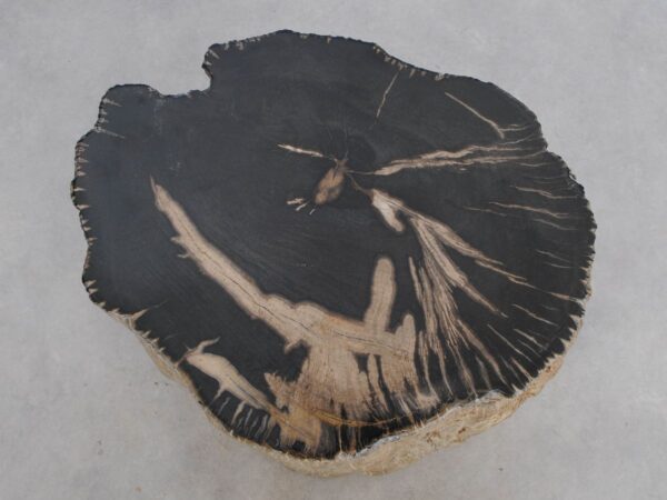 Beistelltisch versteinertes Holz 49371