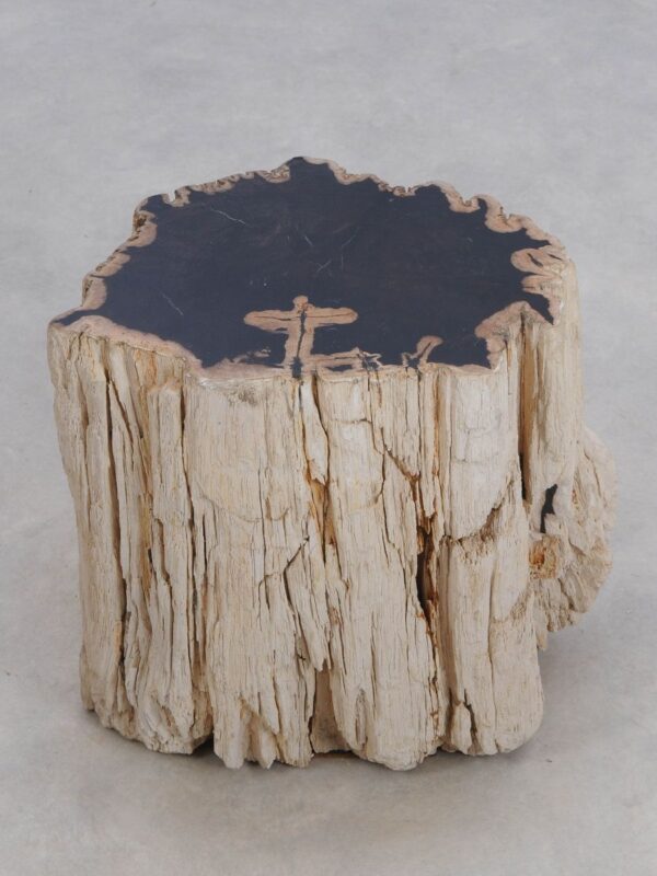 Beistelltisch versteinertes Holz 49374