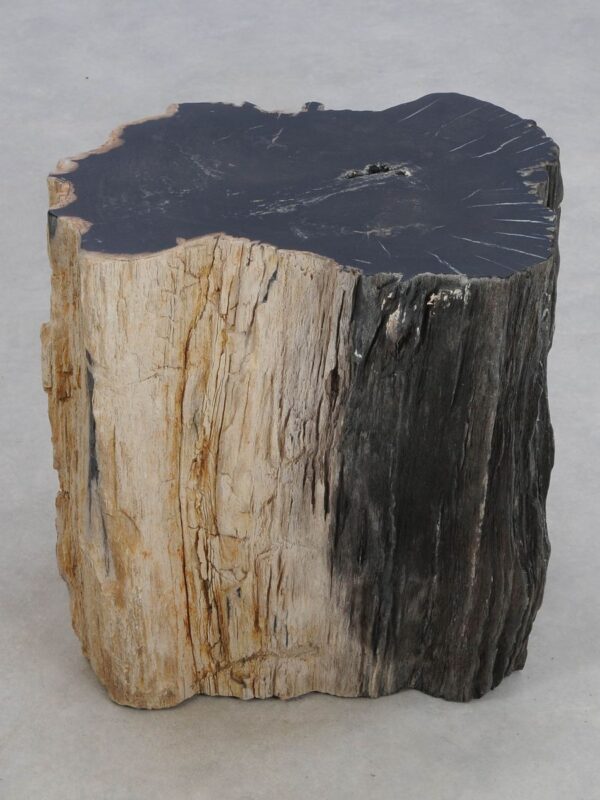 Beistelltisch versteinertes Holz 49377