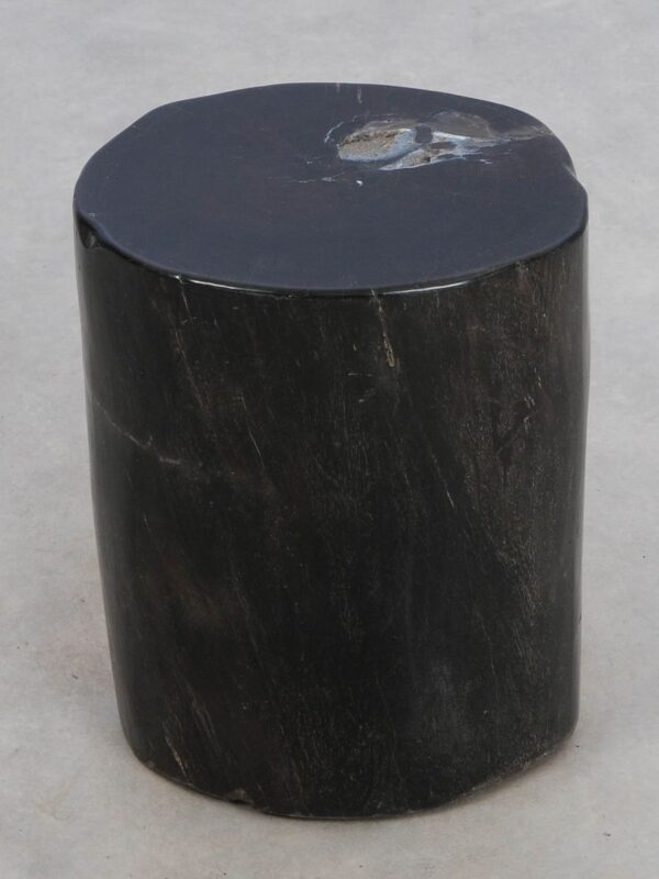 Bijzettafel versteend hout 49001