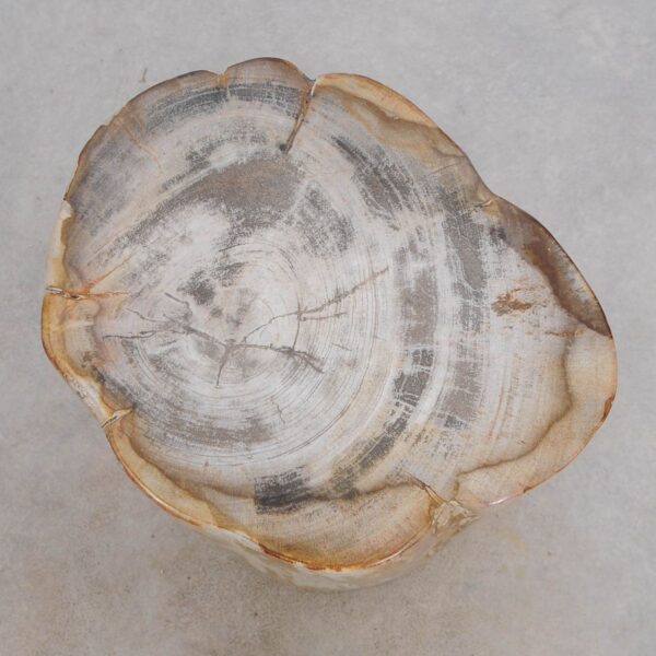 Bijzettafel versteend hout 49025