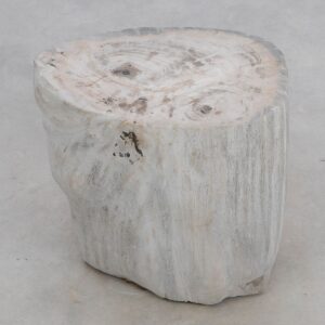 Bijzettafel versteend hout 49028