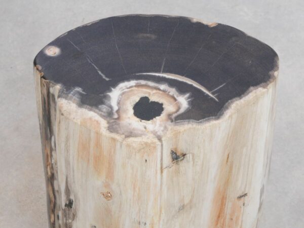 Bijzettafel versteend hout 49037