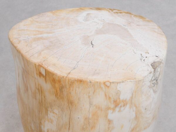 Bijzettafel versteend hout 49052
