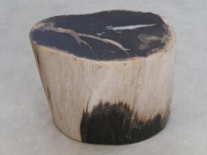 Bijzettafel versteend hout 49056