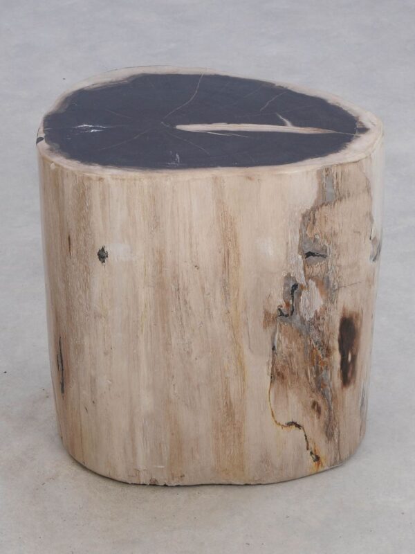 Bijzettafel versteend hout 49057