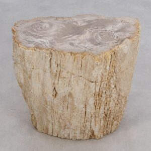 Bijzettafel versteend hout 49104