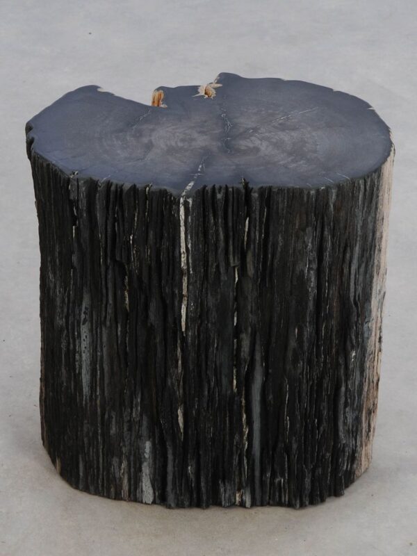 Bijzettafel versteend hout 49108