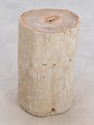 Bijzettafel versteend hout 49111