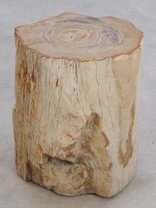 Bijzettafel versteend hout 49114