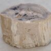 Bijzettafel versteend hout 49364