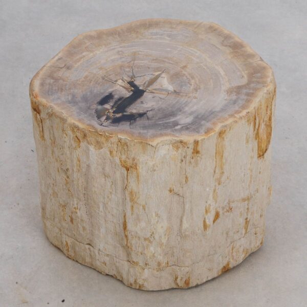 Bijzettafel versteend hout 49365