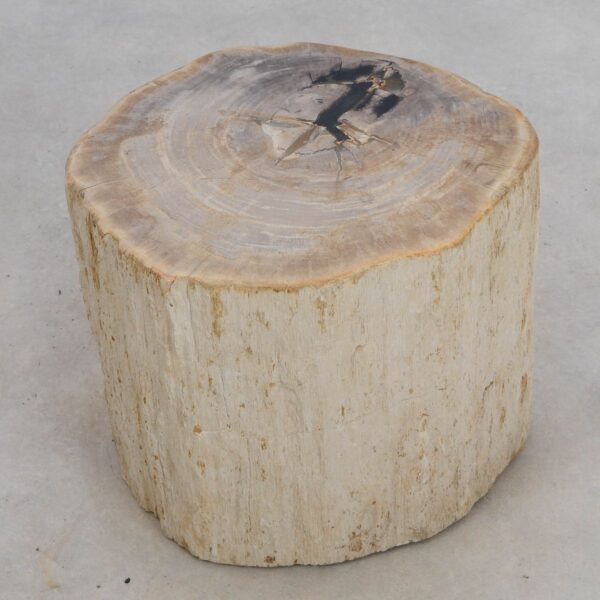 Bijzettafel versteend hout 49365