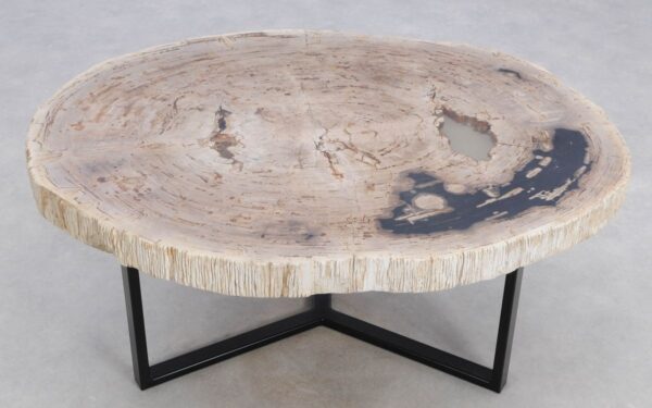 Coffee table petrified wood 48140