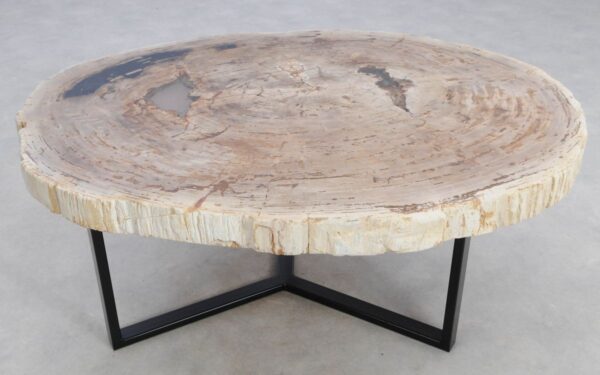 Coffee table petrified wood 48141