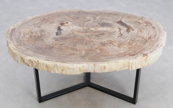 Coffee table petrified wood 48142