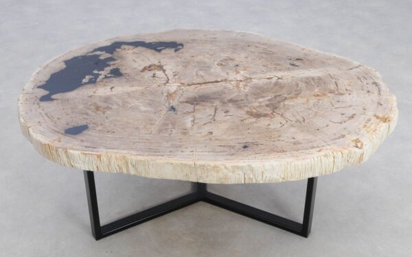 Coffee table petrified wood 48143