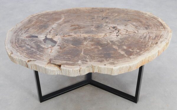 Coffee table petrified wood 48144