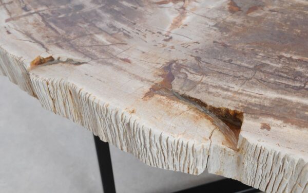 Coffee table petrified wood 48144