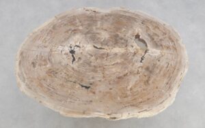 Coffee table petrified wood 48145