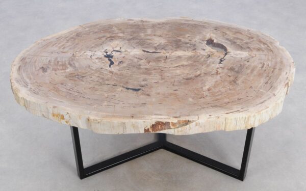 Coffee table petrified wood 48145