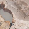 Coffee table petrified wood 48145