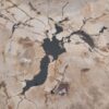 Coffee table petrified wood 48145