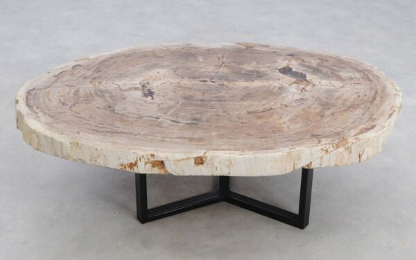 Coffee table petrified wood 48146