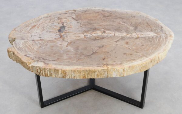 Coffee table petrified wood 48147