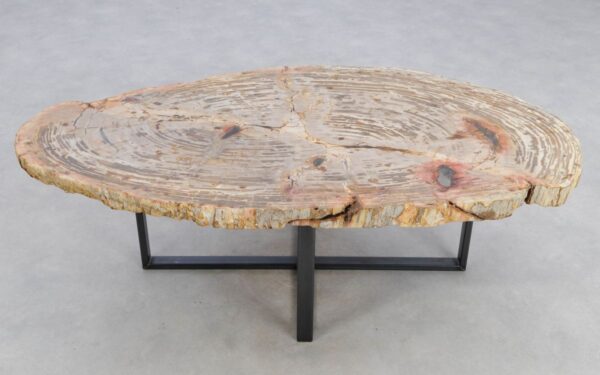 Coffee table petrified wood 48148