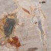 Coffee table petrified wood 48148
